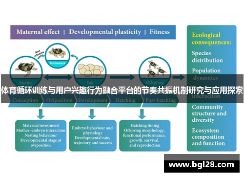 体育循环训练与用户兴趣行为融合平台的节奏共振机制研究与应用探索