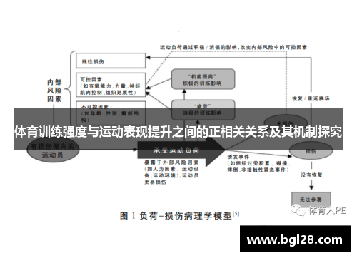 体育训练强度与运动表现提升之间的正相关关系及其机制探究